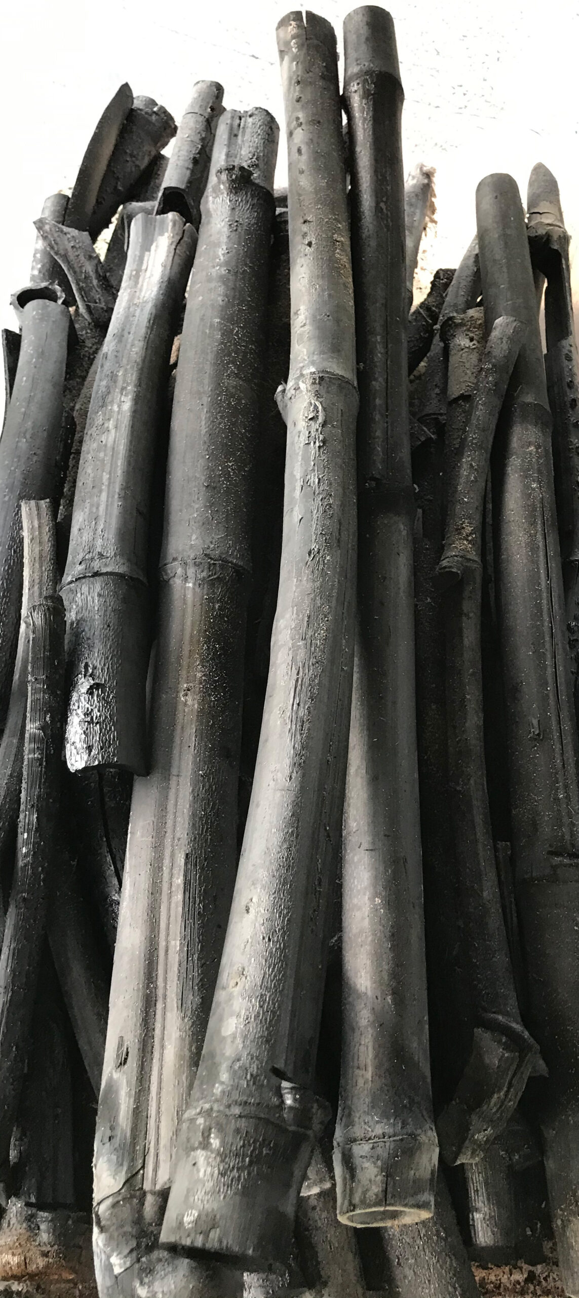 焼いた直後の竹炭